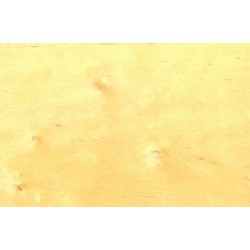 Obrzeże OLCHA 100mb, szerokość:40mm